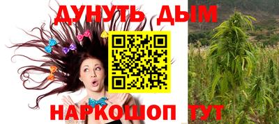 сатива Балахна