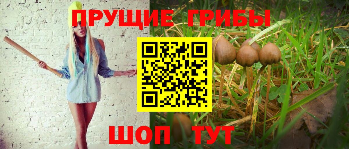 Галлюциногенные грибы прущие грибы Иваново