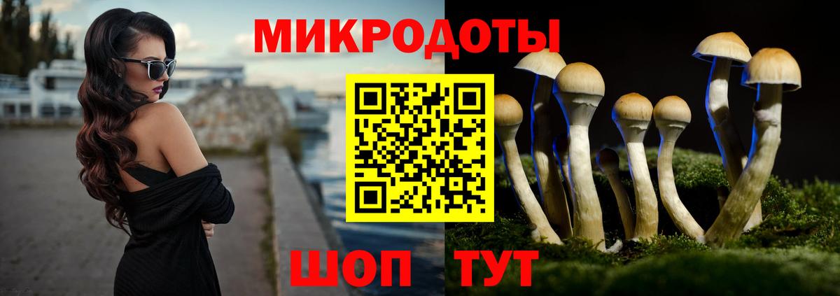 Псилоцибиновые грибы Psilocybine cubensis  Вход с VPN  Иваново 